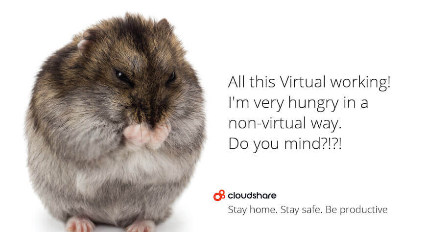 remote working virtual training hamster