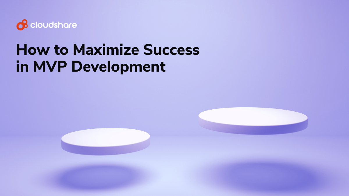 How to Maximize Success in MVP Development