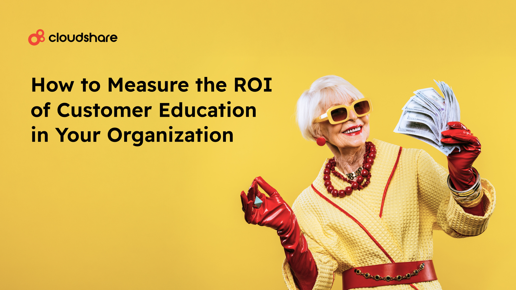 How to Measure the ROI of Customer Education in Your Organization blog